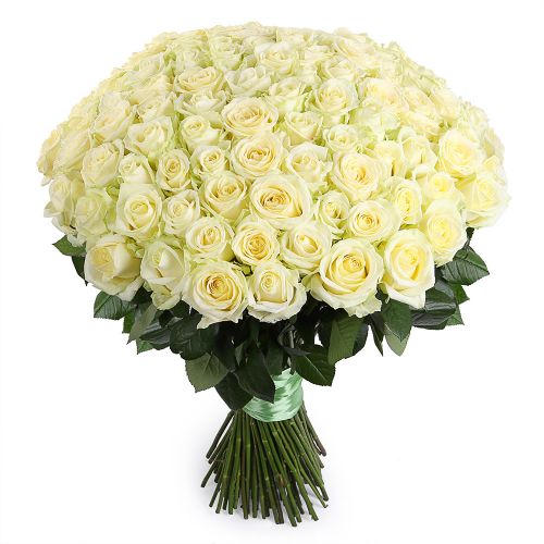 Заказать букет из 101 белой розы с доставкой по метро Алексеевка