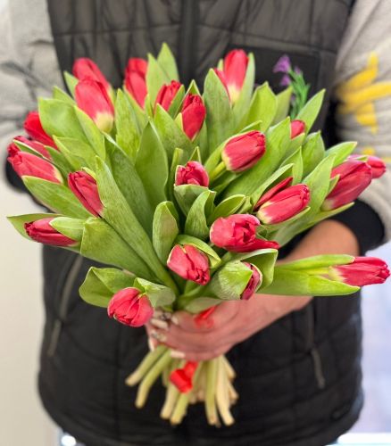 Купить букет из красных тюльпанов "Сабрина" с доставкой по метро Алексеевка